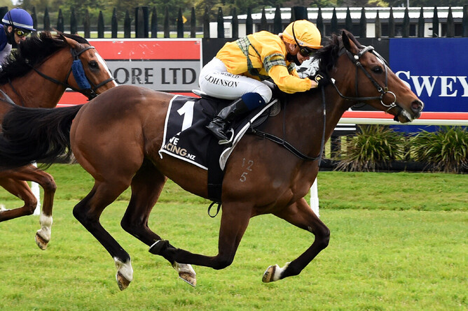 Danielle Johnson guides Tavi Mac to victory in the Gr.3 Sweynesse Stakes (1215m) at Rotorua Photo Credit: Race Images – Kenton Wright