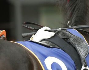 NZTR announce initial stakes money