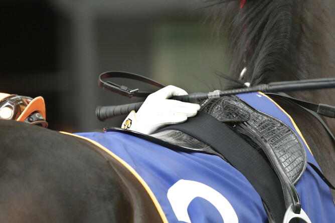 NZTR’s return to racing plan will include a flat stakes level of $15,000 for all races at 13 meetings during July.  Photo: Trish Dunell