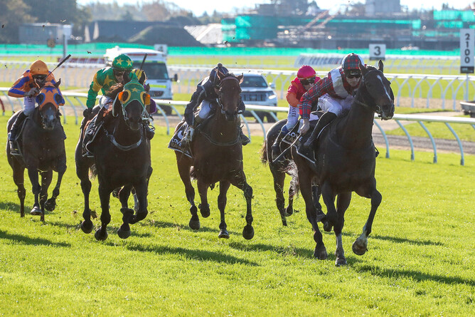 Times Ticking is clear in the Gr.3 Coca Cola Canterbury Gold Cup (2000m) - Photo: Race Images South