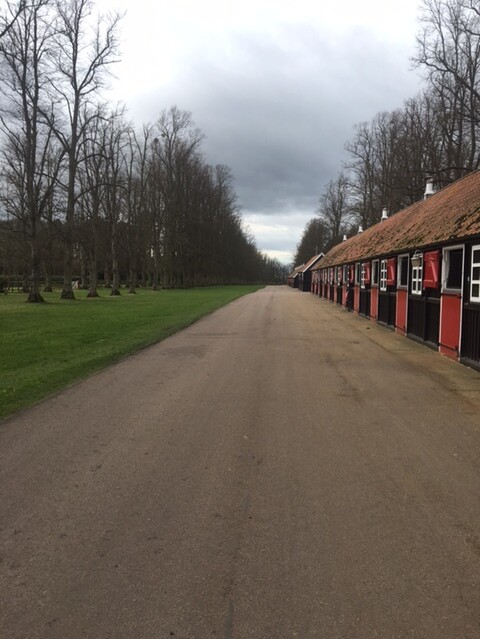 One of the stable blocks at Cheveley Park Stud