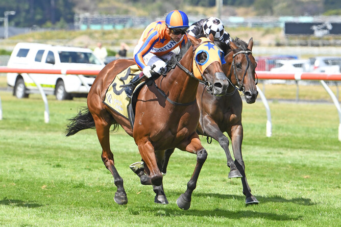 Melody Belle makes it Group One win number 13 with a comfortable victory at Trentham  Photo Credit: Race Images – Peter Rubery