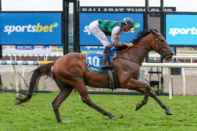 Captain Envious was a runaway winner of the Listed Ballarat Cup (2000m).  - Photo: Bruno Cannatelli