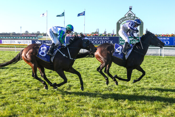 Who Dares Wins winning the Gr.3 Canterbury Gold Cup - photo Race Images South