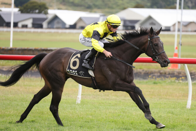 Jockey Matt Cameron takes out the Gr.3 Ron Stanley Memorial Phar Lap Trophy (1600m) at Trentham on Saturday aboard the Fraser Auret-trained Khanshe. - Photo: Peter Rubery (Race Images)