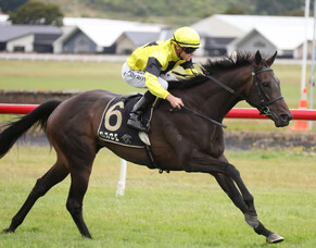 Cameron scores fourth Phar Lap Trophy