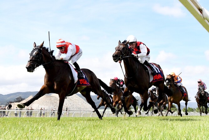 Ladies Man winning Saturday’s TAB Mufhasa Classic (1600m) at Trentham.   - Photo: Peter Rubery (Race Images)