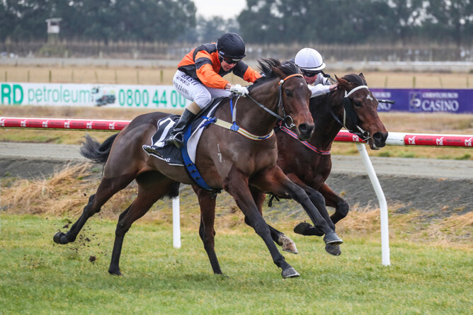 Lord Darci - outer - Photo Credit:  Race Images South