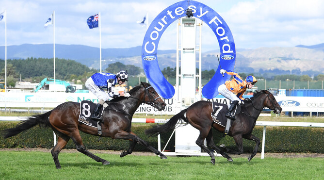 Maven Belle hits the line first in the Gr.1 Courtesy Ford Manawatu Sires’ Produce Stakes (1400m) - Photo: Race Images