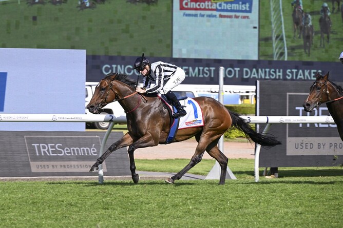Belclare wins the A$500,000 Gr.2 Hot Danish Stakes (1400m) at Rosehill on Saturday.   - Photo: bradleyphotos.com.au