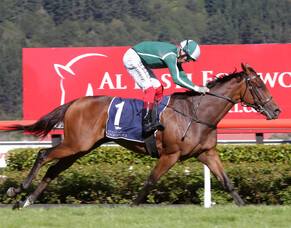 Broodmare buys a success