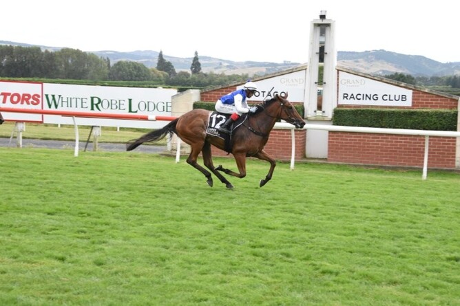 Loose Sally winning Saturday’s Listed Property Brokers – Ray Kean Dunedin Guineas (1600m) at Wingatui.  - Photo: Tayler Strong
