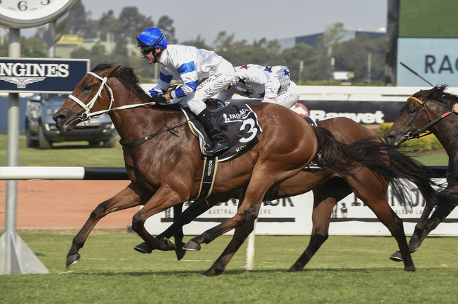 Kolding wins the a$7.5m Golden Eagle at Rosehill - bradleyphotos.com.au