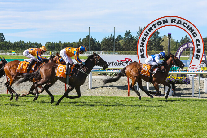 Raziah winning the Gr.3 Barneswood Farm Stakes (1600m) at Ashburton on Saturday.  - Photo: Race Images South