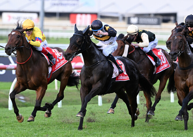 Here To Shock (closest to camera) and Freedom Rally fight out the finish of the Gr.3 BRC Sprint - Photo: Grant Peters, Trackside Photography