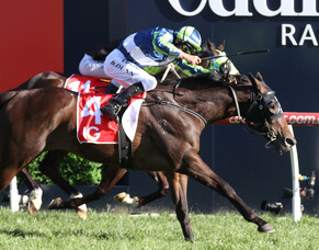 Once in a lifetime horse provides greatest thrill for kiwi pair