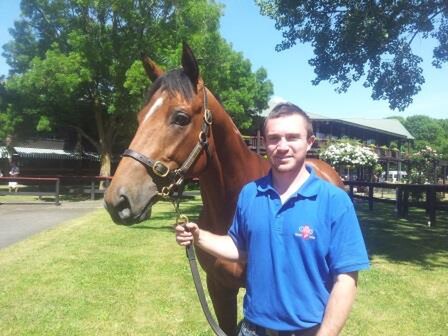 Robert Dennis at the NZB Ready to Run Sale