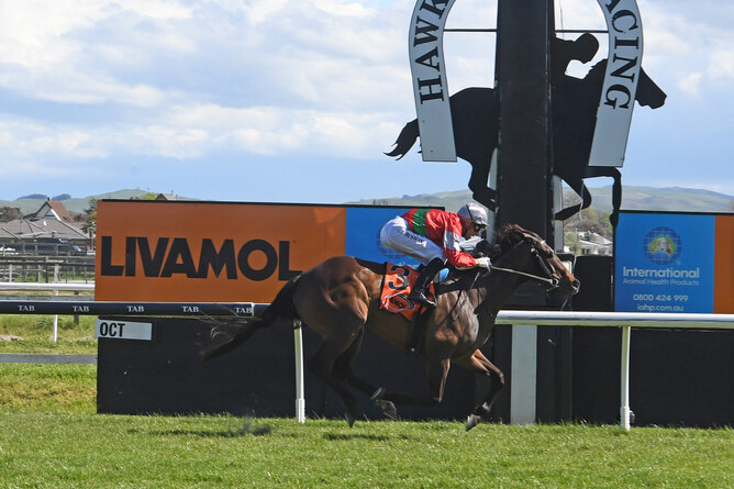 Our Alley Cat breaks through for a deserved stakes win in the Gr.3 Valley D'Vine Restaurant Spring Sprint (1400m) at Hastings.  - Photo: Peter Rubery (Race Images Palmerston North)