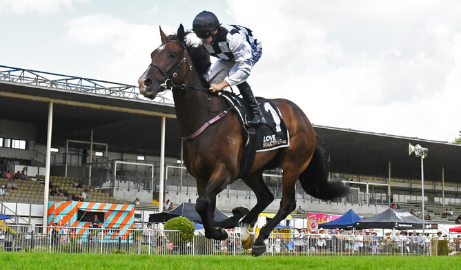 Tuxedo is all alone at the finish of the Gr.2 Legacy Lodge Waikato Guineas.   - Photo: Kenton Wright (Race Images)