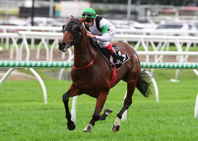 Impressive two-year-old Tutukaka, the half-brother to Melody Belle, takes out the Listed Tattersall’s Life Member Stakes (1830m) at Eagle Farm Photo Credit: Grant Peters