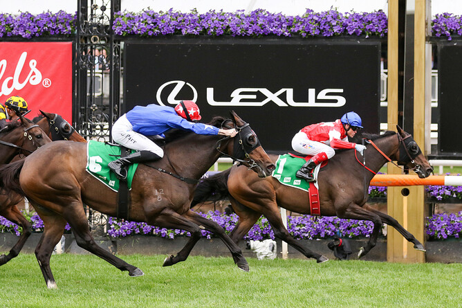Craig Williams and Icebath have the situation well under control as they hit the finish line at Flemington - Photo: Bruno Canatelli