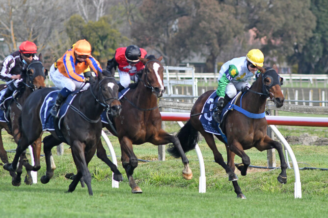 Bellacontte (right) charges home along the inner to take out the Gr.3 Hawke’s Bay Breeders’ Gold Trail Stakes (1200m) at Hastings Photo Credit: Race Images – Peter Rubery