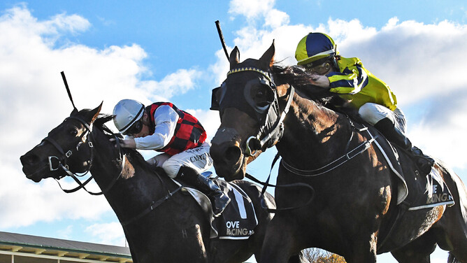 Karman Line (inside) gets the better of La Crique in Saturday's Gr.3 Rotorua ITM Stakes (1400m) at Arawa Park.  - Photo: Kenton Wright (Race Images)