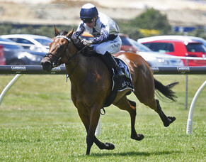 Sweet start to New Year for Bergerson