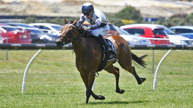 Too Sweet winning the Gr.2 SKYCITY Eclipse Stakes (1200m) at Ellerslie on New Year's Day.   - Photo: Kenton Wright (Race Images)
