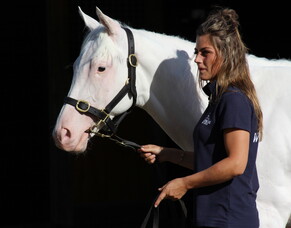 Mary Lynne Ryan Young Achiever Award
