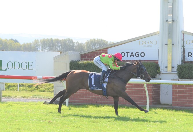 Reputabelle dashes away with the Listed NZB Airfreight Stakes (1400m) at Wingatui - Photo: Tayler Strong