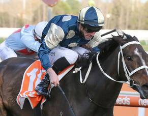 Wallace buoyed by trans-Tasman feature double