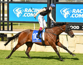 South Island a Source of Supreme Stamina