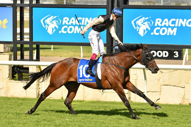 Southern-bred Etah James (NZ) dominated the A$1 million Group One Sydney Cup (3200m). Photo: Supplied