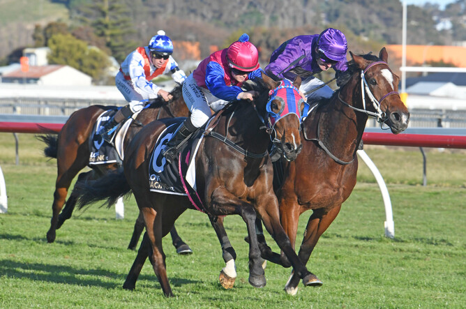 Although dwarfed by her male rival Lantern Way (right), Chantilly Lace proves too tough as she completes a stakes double in the Wanganui Guineas. - Photo: Peter Rubery