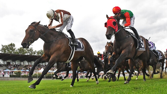 Legarto winning Saturday’s Listed Lisa Chittick Champagne Stakes (1400m) at Matamata.  - Photo: Kenton Wright (Race Images)
