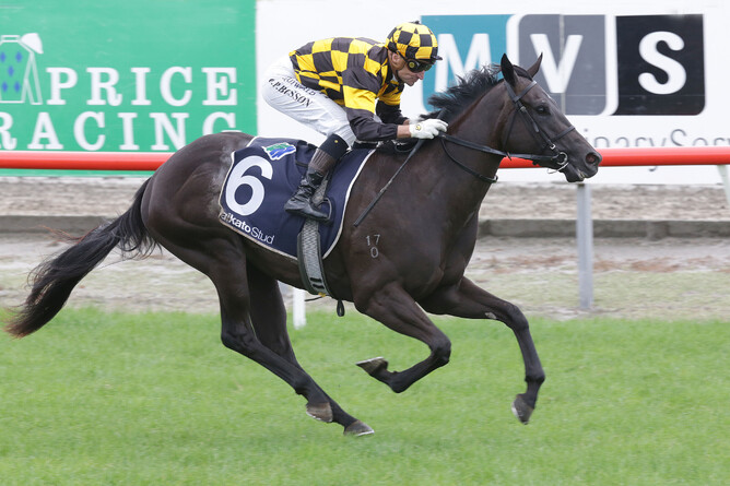 Opie Bosson and Zourion cruise home to win the Gr. 2 J Swap Contractors Ltd Matamata Breeders’ Stakes (1200m) at Matamata - Photo: Trish Dunell
