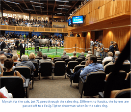Robert's Blog – August 2014