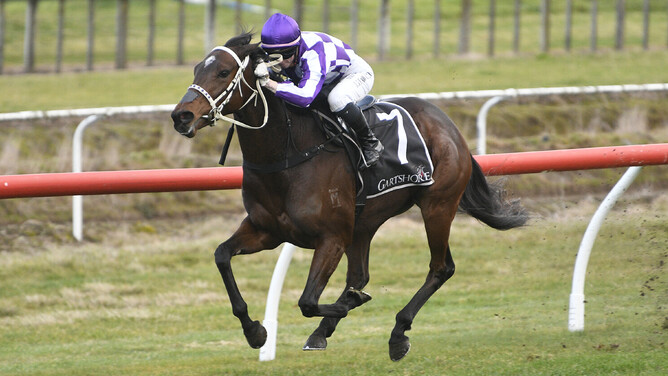 Casino Princess dominates Saturday's Listed Team Wealleans Tauranga Classic (1600m) for Jasmine Fawcett and Cliff Goss.  - Photo: Kenton Wright (Race Images)