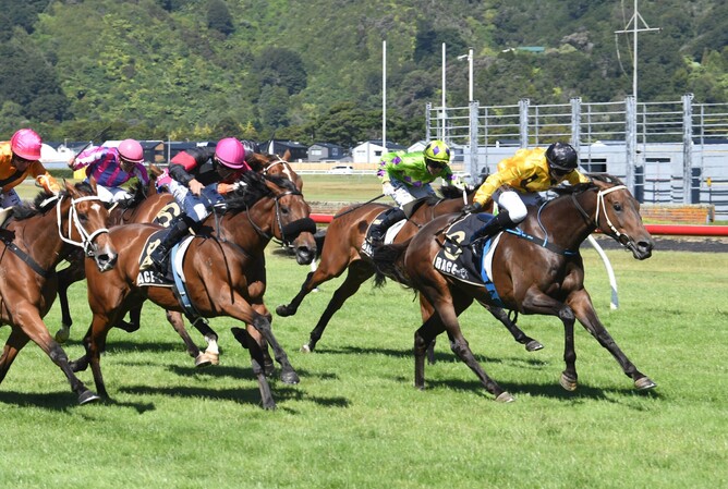 Ruby Rocks winning Saturday’s Listed Lincoln Farms Marton Cup (2200m) at Trentham.   - Photo: Peter Rubery (Race Images)