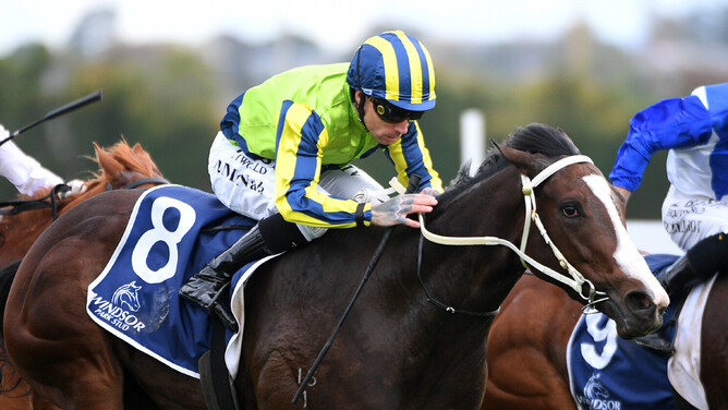 Ardalio winning the Gr.3 Windsor Park Stud Cambridge Breeders’ Stakes (1200m) at Te Rapa. - Photo: Kenton Wright (Race Images)