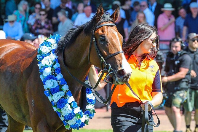 Sky On Fire will be sold on gavelhouse.com on Monday 21 August - Photo: Supplied