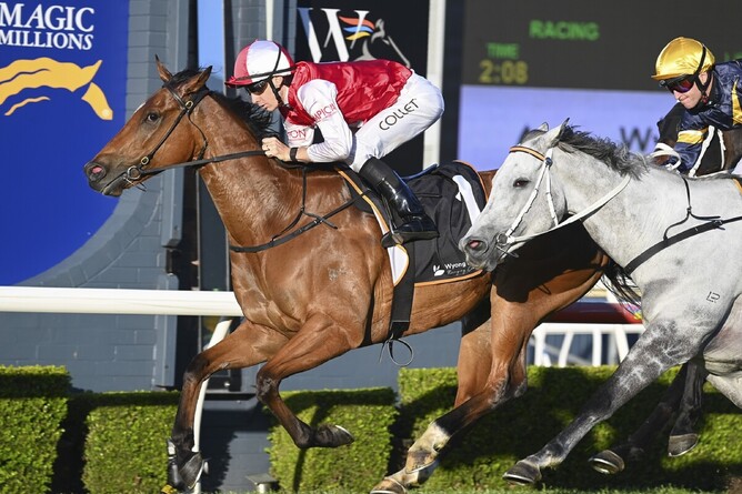 Lion’s Roar wins Wyong Cup - Photo: bradleyphotos.com.au