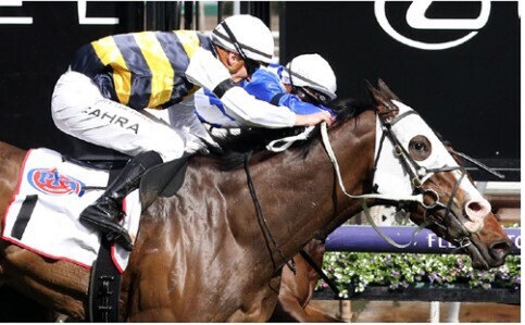 I'm Thunderstruck - Photo:  Bruno Cannatelli