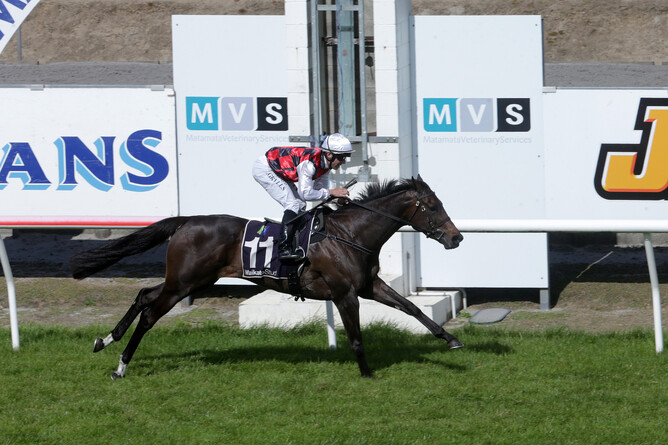 La Crique gets a deserved success at the highest level in the Gr.1 Arrowfield Stud Plate (1600m) - Photo: Trish Dunell