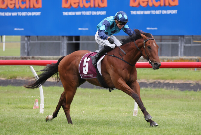 The Scunner winning the Gr.3 Taylor Property Plus Spring Sprint (1400m) at Trentham. - Photo: Peter Rubery (Race Images)
