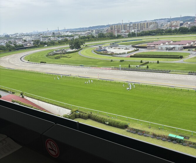 One of the 10 groups of 25 people repairing divots around the course between races.