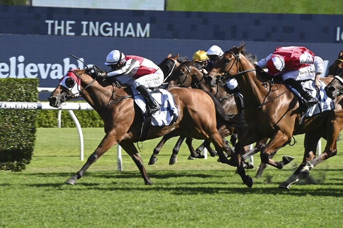Kirwan’s Lane defeats stablemate Lion’s Roar in the A$2 million Gr.2 The Ingham (1600m) at Randwick - Photo: bradleyphotos.com.au