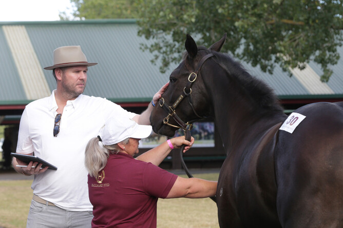 Bloodstock agent Michael Wallace during an on-site inspection at the Karaka sales complex Photo Credit: Trish Dunell
