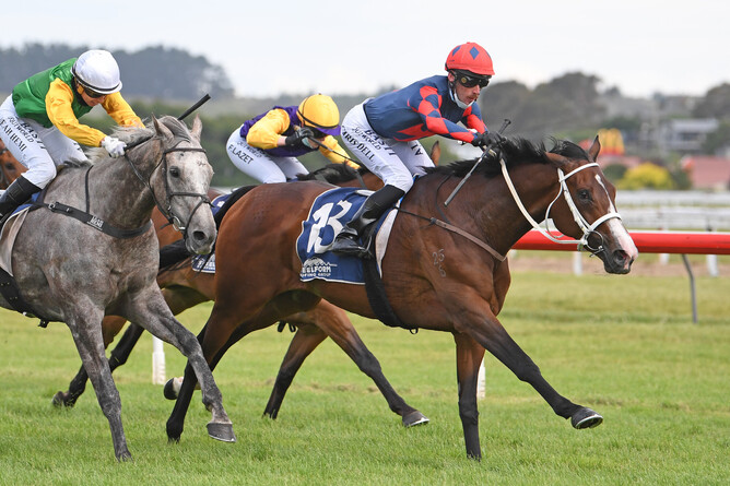 Chris Dell pilots Zola Express to victory in the Listed Steelform Roofing Group Wanganui Cup (2040m) Photo: Race Images – Peter Rubery